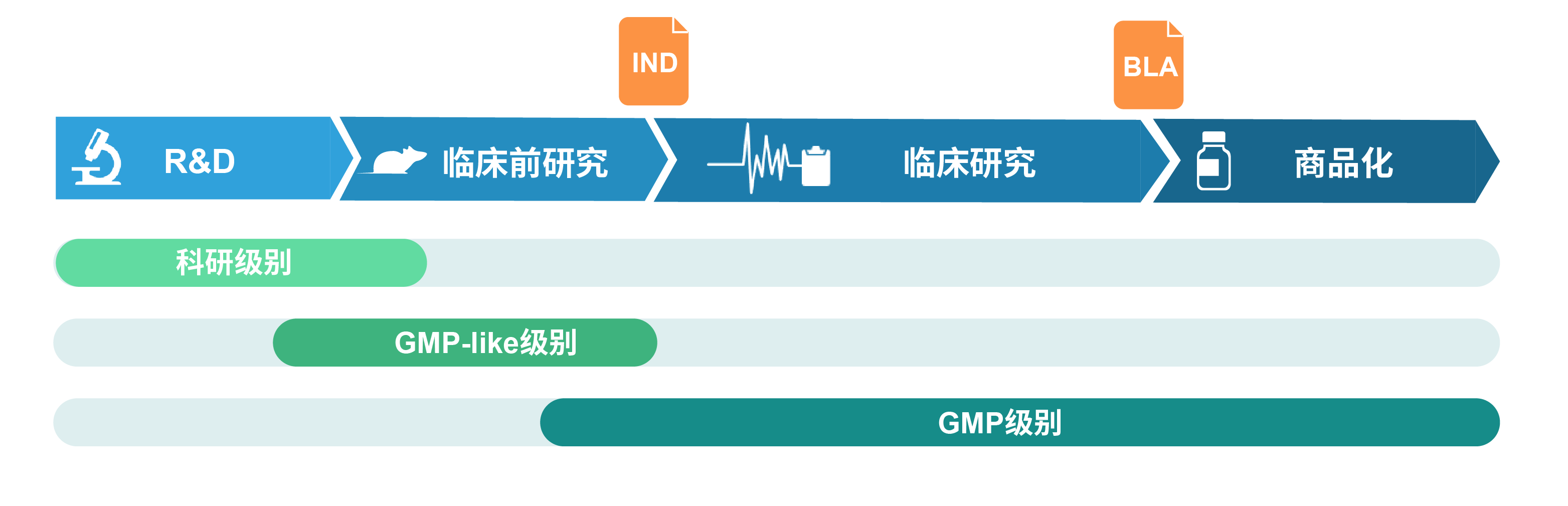 GMP病毒等级.png 产品细节图片1