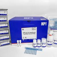 (MPure-32™)石蜡包埋样本RNA提取试剂盒（磁珠法）