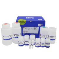 MagBeads RNA提取试剂盒(磁珠法)