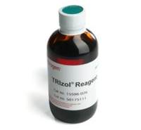 Invitrogen Trizol(总RNA提取试剂) 15596026