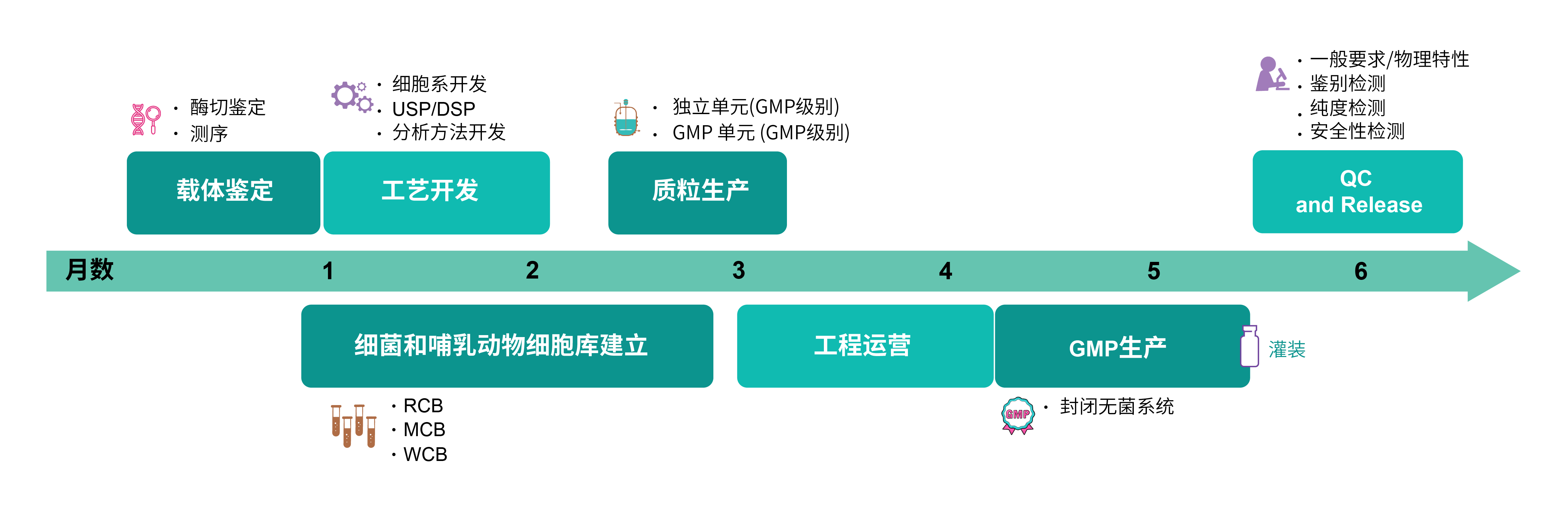 GMP病毒制备流程.png 产品细节图片2