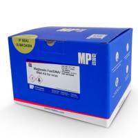 MagBeads 病毒DNA/RNA提取试剂盒（磁珠法）