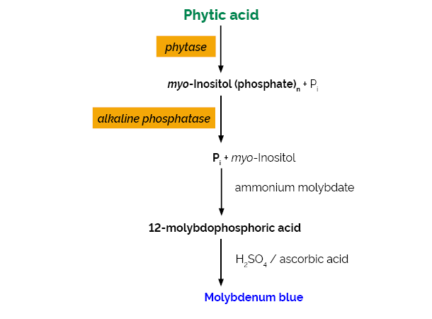 Scheme-K-PHYT PHYT Megazyme