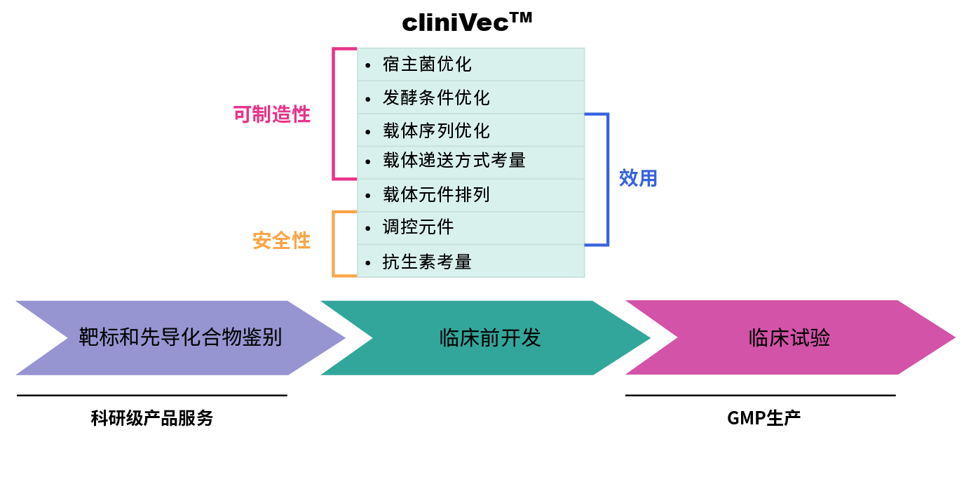 This seamless progression necessitates careful consideration of key factors such as the efficacy, safety, and manufacturability of cell and gene therapy drug products. 