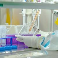 shRNA基因敲低解决方案