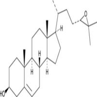 24(S),25-epoxy Cholesterol