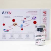 RG级别 laminin 521