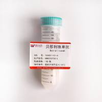 依那西普—185243-69-0