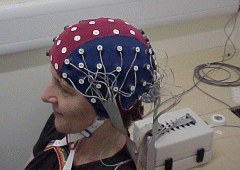 BioSemi 32/64/128/256道脑电仪及事件相关