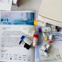 人唾液酸结合免疫球蛋白样凝集素10(SIGLEC10)ELISA试剂盒