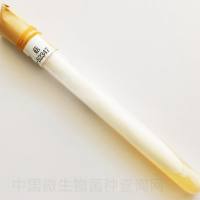 糙皮侧耳、平菇(可订购)