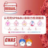 SPR服务/BLI亲和力检测服务