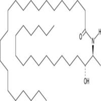 C22 dihydro 1-Deoxyceramide (m18:0/22:0)