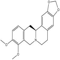 Tetrahydroberberine,THB