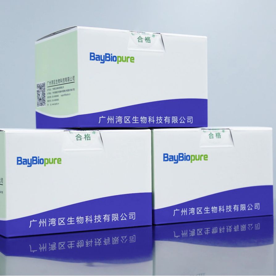 BayBiopure磁珠法去内毒素质粒DNA提取试剂盒(PEFM)