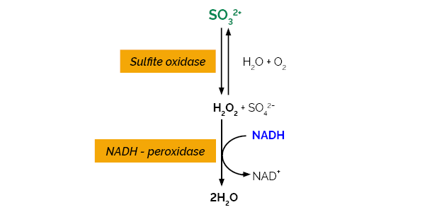 Scheme-K-ETSULPH ETSULPH Megazyme