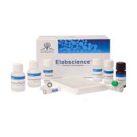 TNF-α ELISA试剂盒