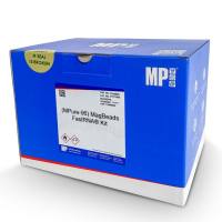 (MPure-96™)RNA提取试剂盒(磁珠法)