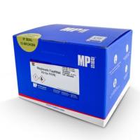 MagBeads 石蜡包埋样本RNA提取试剂盒（磁珠法）