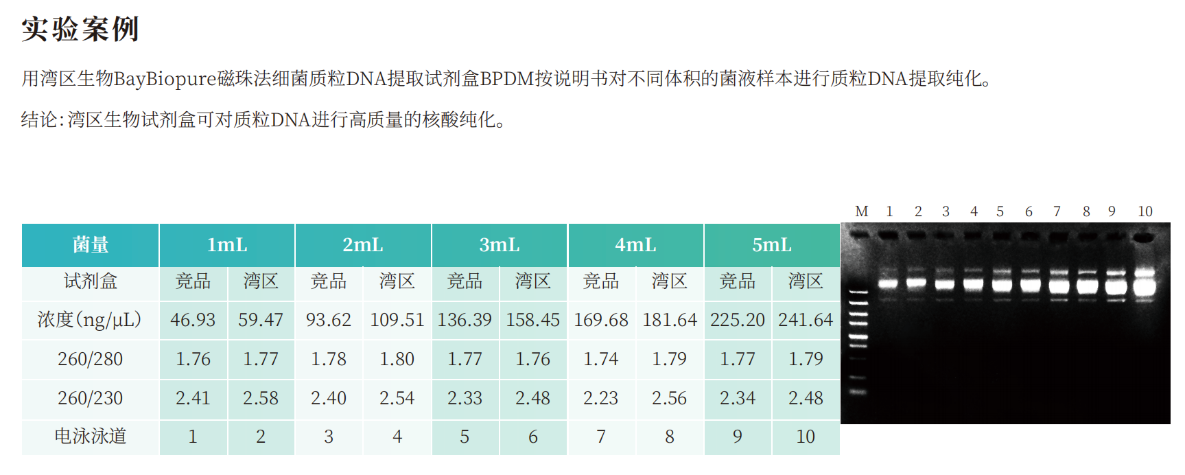 BayBiopure磁珠法细菌质粒DNA提取试剂盒