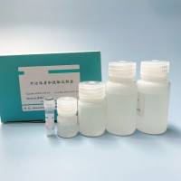 血浆外泌体亲和提取试剂盒（EVlent™)