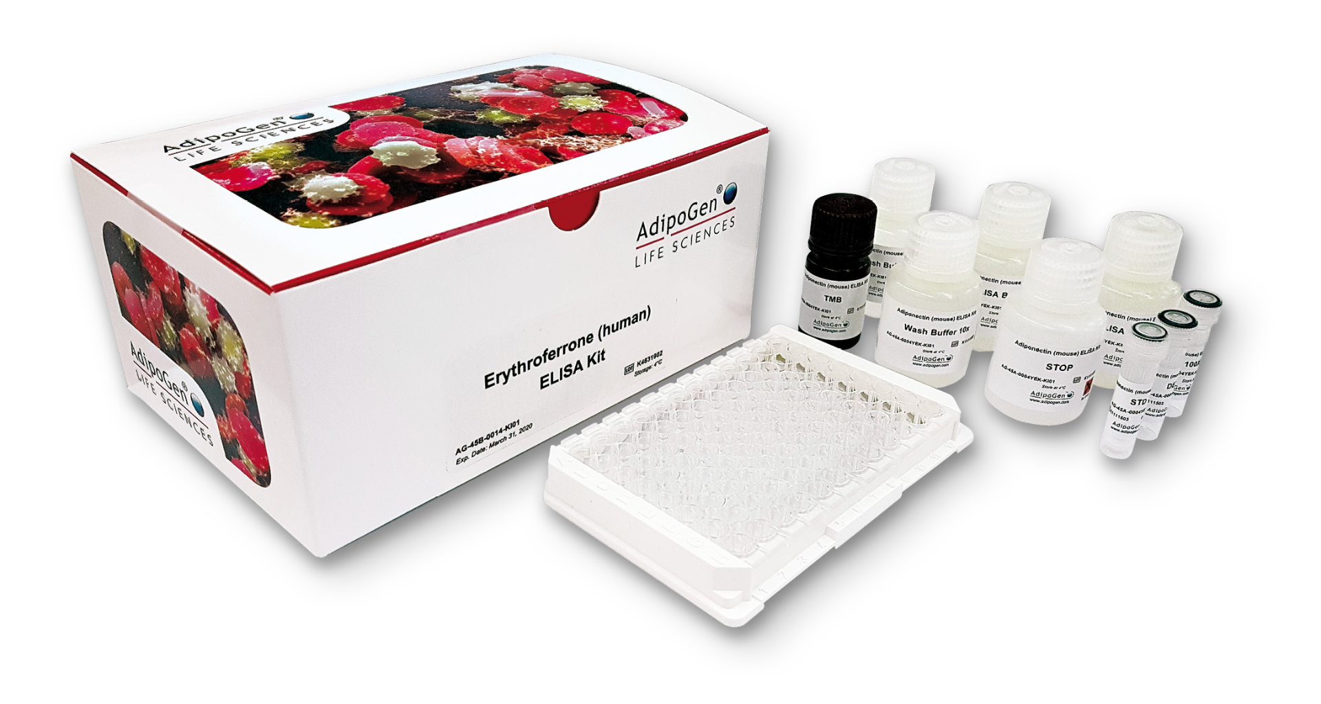 Elisa-Kit-Erythroferrone.png