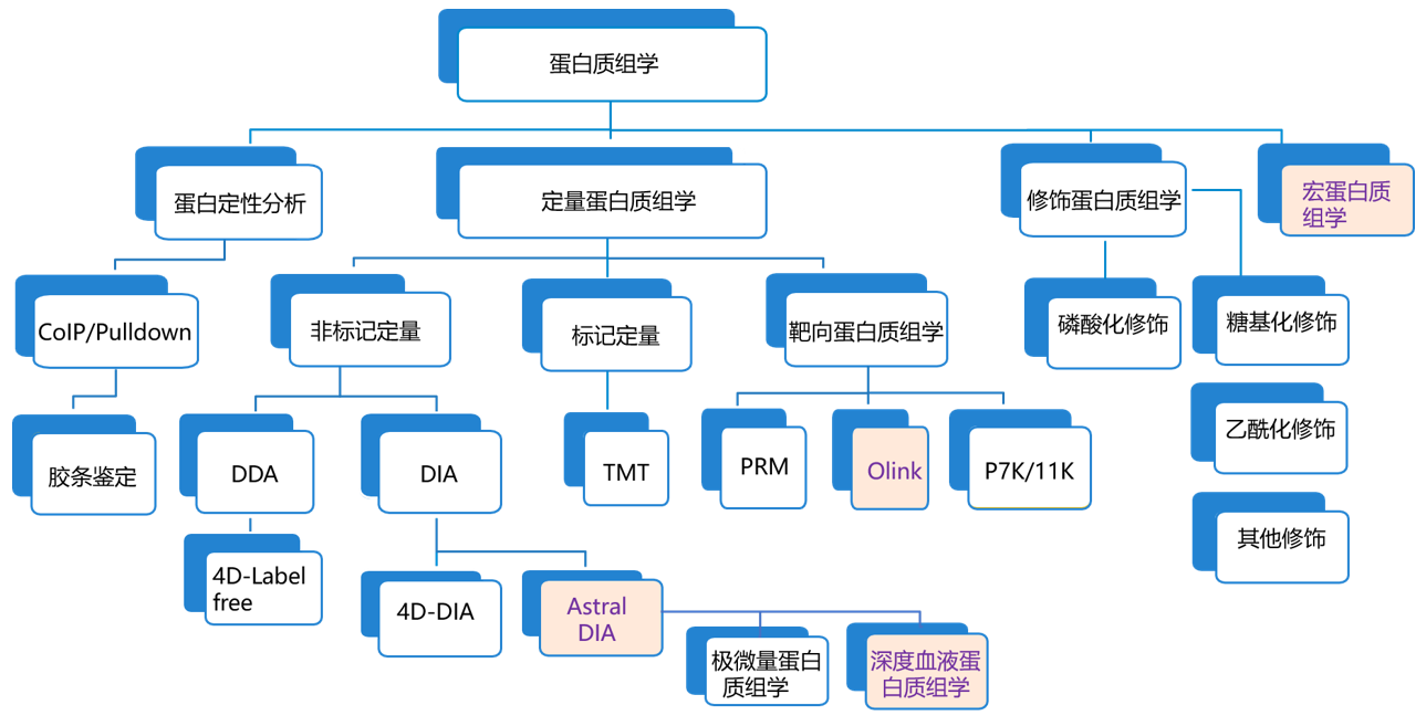 一文秒懂！快速锁定最适合您的蛋白质组学新技术