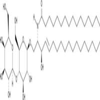 C16 Lactosylceramide (d18:1/16:0)