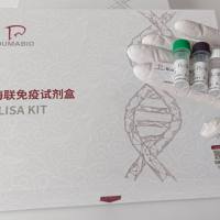 人C1q肿瘤坏死因子相关蛋白1(C1QTNF1)ELISA试剂盒