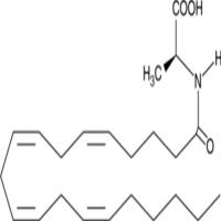N-Arachidonoyl-L-Alanine