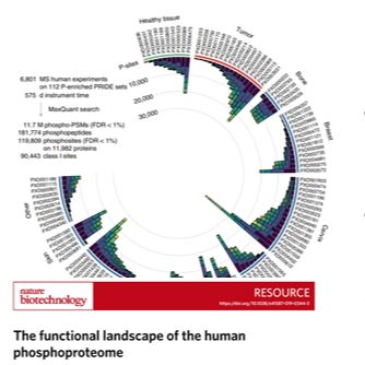 蛋白质翻译后修饰