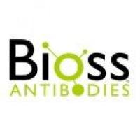 博奥森 bioss C5085 Alum Adjuvant 氢氧化铝佐剂（明矾佐剂）5ml/10ml