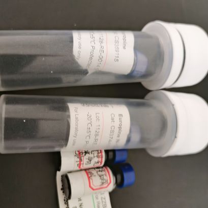 芝麻菜叶千里光碱N-氧化物标准溶液