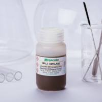 麦芽淀粉酶标准品 E-MAST Malt Amylase Standard