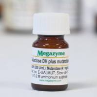 半乳糖脱氢酶-半乳糖变旋酶 E-GALMUT Galactose dehydrogenase - Galactose mutarotase
