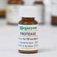 枯草杆菌蛋白酶A[地衣芽孢杆菌] E-BSPRPD Protease Subtilisin A (from Bacillus licheniformis) Powder