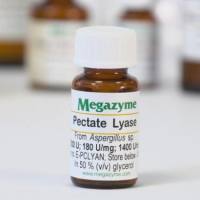 果胶裂解酶 E-PCLYAN Pectate Lyase (Asper-gillus sp.)