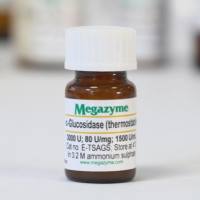 重组α-葡萄糖苷酶 E-TSAGS α-Glucosidase (Bacillus stearothermophilus) (Recombinant)