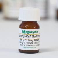 琥珀酰辅酶A合成酶 E-SCOAS Succinyl-CoA synthetase (prokaryote) 