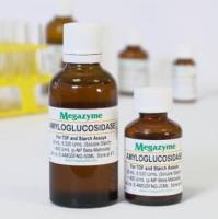 淀粉葡萄糖苷酶[黑曲菌]（不含甘油） E-AMGDFNG Amyloglucosidase (Asper-gillus niger) Glycerol Free