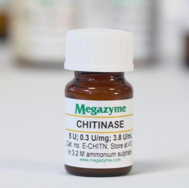 几丁质酶 E-CHITN Chitinase(Clostridium thermocellum)