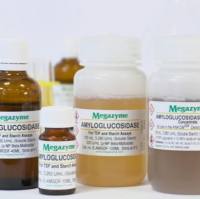 淀粉葡萄糖苷酶 E-AMGDF Amyloglucosidase (Asper-gillus niger)