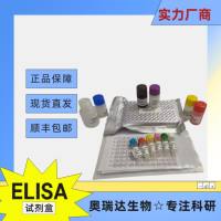 人单纯疱疹病毒Ⅱ型抗体（HSVⅡ-Ab）ELISA检测试剂盒
