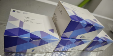 SALSA MLPA 探针 ME053 BRCA1-BRCA