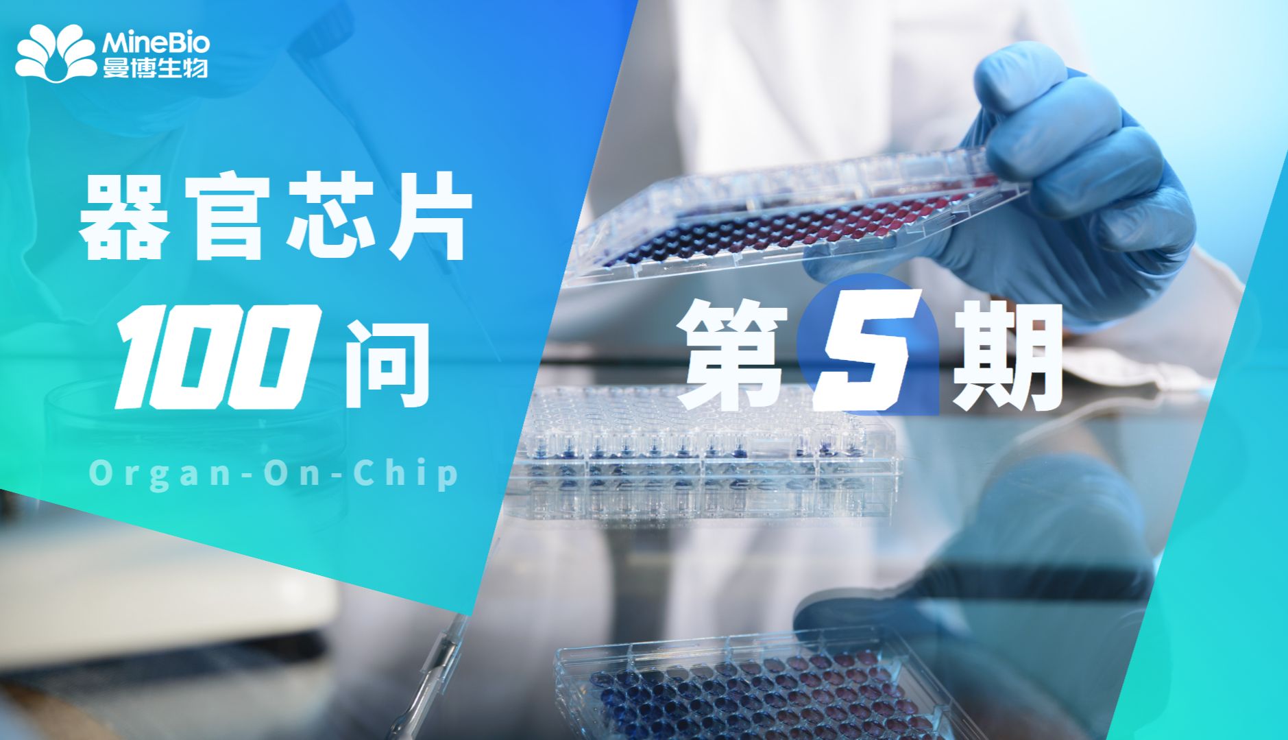 【器官芯片100问】第5期_微流控_OOC_曼博生物