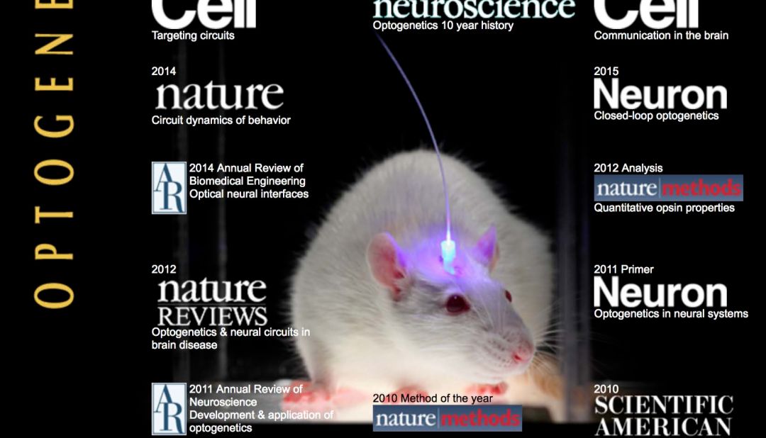 操控大脑活动：光遗传技术让神经元控制从科幻到现实！