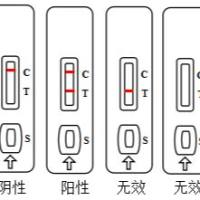 炭疽杆菌抗体快速检测试剂(科研试剂)