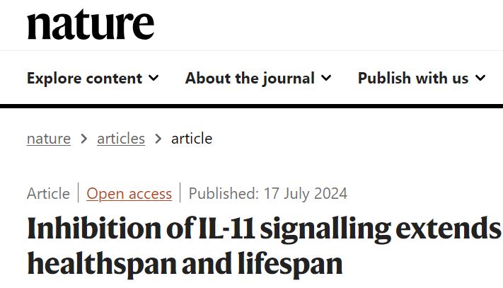 抑制IL-11信号通路，会影响健康寿命？