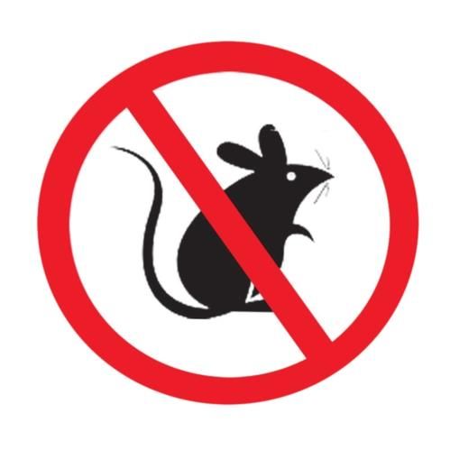 鼠耶尔森菌抗原检测试剂(疾控专用试剂)