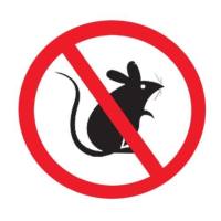 鼠耶尔森菌抗原检测试剂(疾控专用试剂)